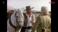 The New World of Zorro - Nowe przygody Zorro (1990) S03E23 ''Ciuciubabka''