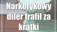 Narkotykowy diler trafił za kratki