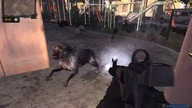 Zagrajmy w S. T. A. L. K. E. R. :Wind of Time#17-Szramuuuśśś!!!xD