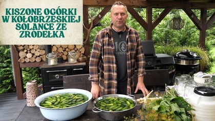 Dziś kisiłem ogórki w kołobrzeskiej solance ze źródełka  naturalnie słonej, bogatej w minerały i wyjątkowo czystej. Taka woda to skarb! Nie trzeba dodawać żadnej soli  natura zrobiła swoje. Ogórki już się kiszą, a ja nie mogę się doczekać, aż spróbuję efektu tej nadmorskiej fermentacji. Kiszonka z charakterem i morską nutą!