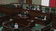 Grzegorz Braun: Panie ministrze, proszę nie robić z tata-wariata!