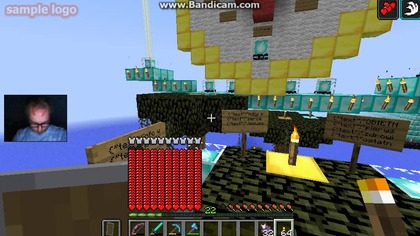 nasionka i drewno 3 (1411)