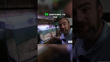 Wyrzucać stare podłoże? 