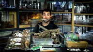 ZROBIŁEM ZBYT ŁADNE TROPIKALNE TERRARIUM 