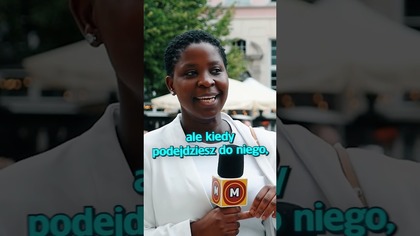 NAJINTELIGENTNIEJSZE ZWIERZĘ NA ŚWIECIE TO... ?  #maturatobzdura #wiedza #zabawne #zwierzęta #nauka