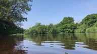   - Ewangelia Jana