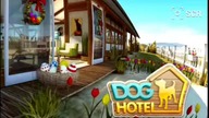 DOG HOTEL LITLE GALAXY Y
