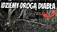 Nawiedzona droga w lesie - legenda diabła i tajemnicze dźwięki.