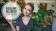 ROŚLINY po 3 tygodniach bez mojej opieki  PRZELANE? ZGNITE KORZENIE!?