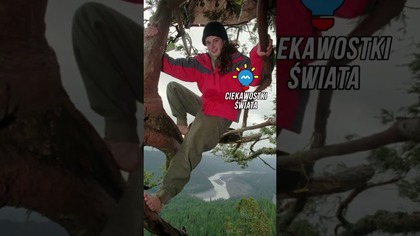 SPĘDZIŁA NA DRZEWIE 738 DNI