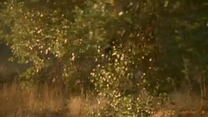 Dr Quinn s02e17 Lektor PL