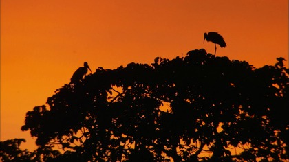 Świat snu - dokument lektor pl