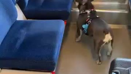 I zaczynamy podróż.