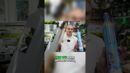 Mała butla vs duża  co wybrać do ładnego akwarium?  #akwarium