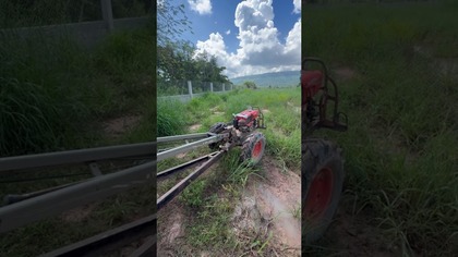 Dzik czy traktor jednoosiowy