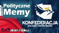 Sukcesy i porażki Konfederacji [Polityczne Memy]