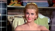 Elvis Presley The Lady Loves Me