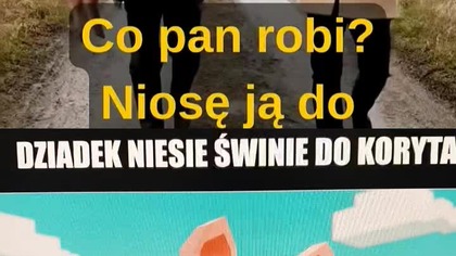 #polityka #śmieszne #polska #wiadomości #memy koryto