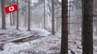 Survival: dobór miejsca pod bytowanie - zima