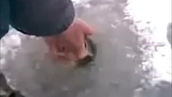 Tak się łowi w Rosji!