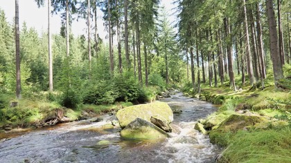 10H Mountain River in 4K &bull; Powerful Clear Water Flow for Focus, Relax & Calm Study