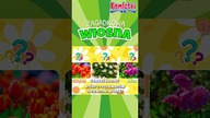 Który kwiat nie kwitnie wiosną?  Zagadkowa wiosna 