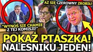 MICHAŁ WÓJCIK TOTALNIE WKU***Ł SIĘ NA KOMISJI PEGASUSA! POWIEDZIAŁ KILKA SŁÓW ZA DUŻO!