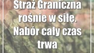 Straż Graniczna rośnie w siłę.  Nabór cały czas trwa