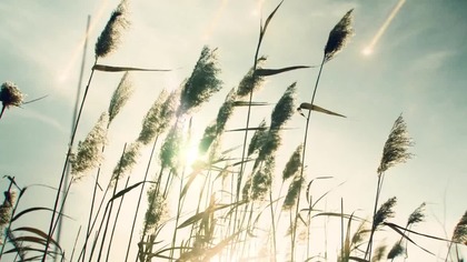 Debris S01E07.  PL Możesz ją nazwać Caroline