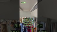 Billie Eilish w krakowskim tramwaju