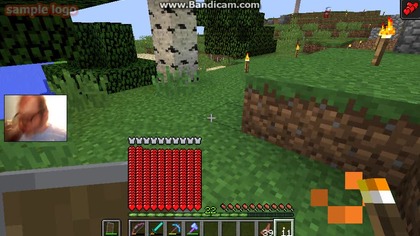 nasionka i drewno 7 (1415)