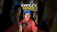 Świeży z @GENZIEE -czy podejmiesz wyzwanie?  #ciekawostki #jaskinie #wyzwanie