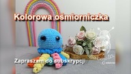 Kolorowa ośmiorniczka z aksamitka
