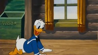 Kaczor Donald - Nie ma to jak dom