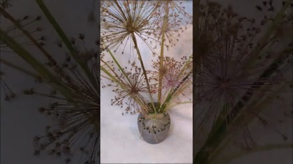 Utrwalanie czosnku z kanału @diy_art_ideas #shorts #diy