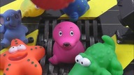 Bath Toys  Shredding Machine Crushing: Bath Toys Destruction