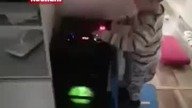 nikt nie rozumie tego że to ja byłem swoim ojcem a żona wariatem z rodzicami moimi