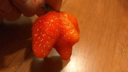 Truskawka MUTANT