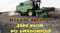 John Deere 2256 & John Deere 6110MC Żniwa Rzepaczane/ Pierwsze podsumowanie/ Kula