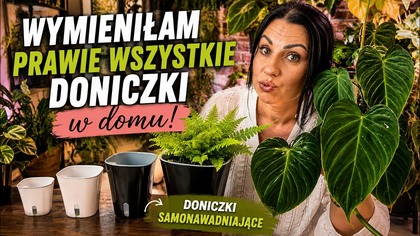 WYMIENIŁAM PRAWIE WSZYSTKIE DONICZKI! DONICZKI SAMONAWADNIAJĄCE!