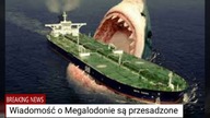 5 Zwierząt największych w swoich Gatunkach