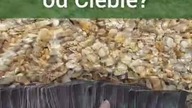 Co chce od Ciebie usłyszeć teraz?