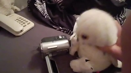 Maksiowe Wiadomości - odc.  2 - sez.  3