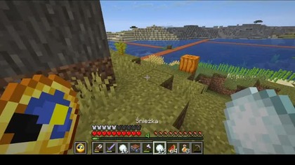 Well #game #minecraft #gaming #HappyGhast #Ghast #Short #Shorts
