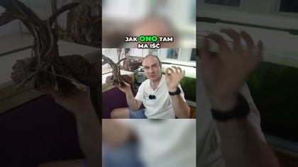 Jak Stworzyć Drzewko do akwarium.  Przewodnik Krok Po Kroku