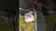 Nic tak nie smakuje jak kiełbasa z głowicy o poranku.  #motorcycle