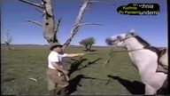 Najlepsze fragmenty z Makłowiczem #2 