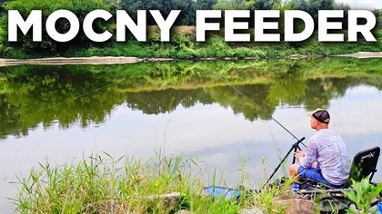 599 MOCNY FEEDER PO PRACY I DZIKI GOŚĆ NAD ODRĄ