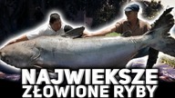 ZŁOWILI OGROMNĄ RYBĘ!