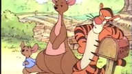 Nowe przygody Kubusia Puchatka: Wielki napad na miód (VHS)